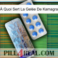 À Quoi Sert La Gelée De Kamagra 39
